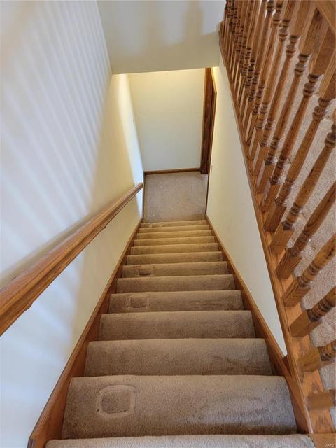 809 Elaine Dr, O'fallon, MO 63366 photo 37