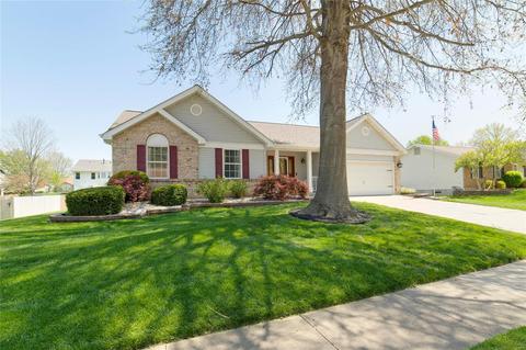 5336 Pinefield Dr, Saint Charles, MO 63304 photo 34