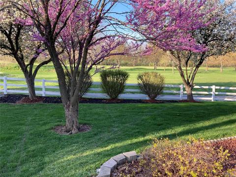 4 Royal Adelaide Ct, O'fallon, MO 63366 photo 33