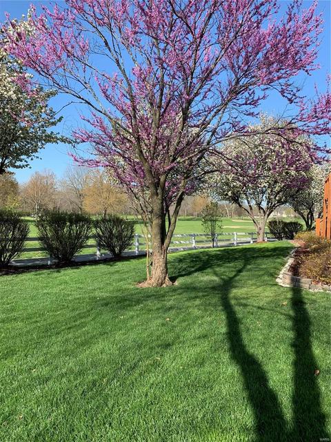 4 Royal Adelaide Ct, O'fallon, MO 63366 photo 35
