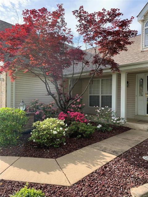 4 Royal Adelaide Ct, O'fallon, MO 63366 photo 28