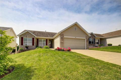 972 Daffodil Ridge Dr, O'fallon, MO 63366 photo 1