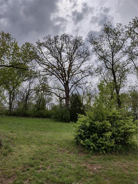 8516 Red Rose, Cedar Hill, MO 63016 photo 1