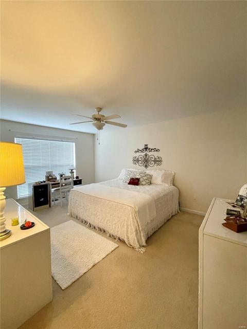 218 Belmonte, O'fallon, MO 63368 photo 22