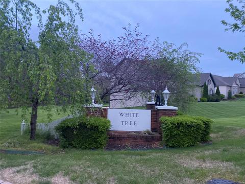 254 White Tree Ln, Ballwin, MO 63011 photo 39