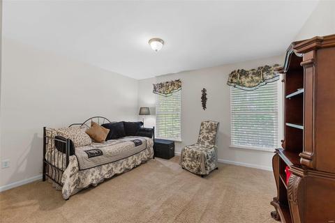 6000 Mergenthal Ln, Weldon Spring, MO 63304 photo 30