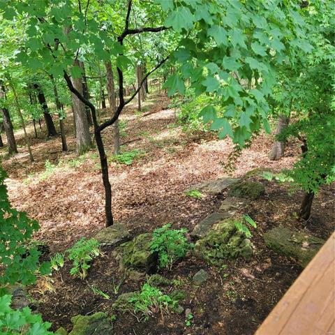 17584 Thunder Mtn, Wildwood, MO 63025 photo 39