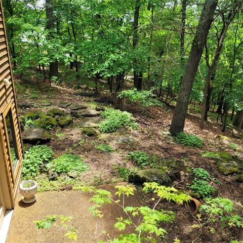 17584 Thunder Mtn, Wildwood, MO 63025 photo 40