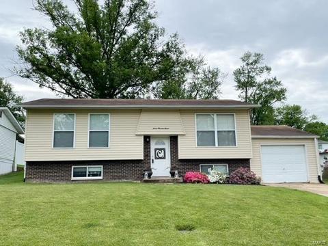 707 Chuck Dr, Pevely, MO 63070 photo 1