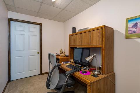 310 Oxford Ridge Ct, Ellisville, MO 63021 photo 45