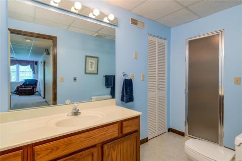 310 Oxford Ridge Ct, Ellisville, MO 63021 photo 43