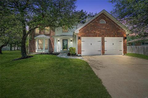 502 Audubon Place Ct, Manchester, MO 63021 photo 1