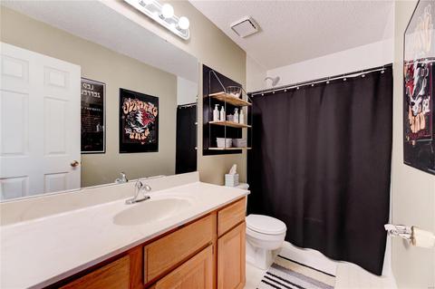 51 Georgetown Cir, O'fallon, MO 63368 photo 18