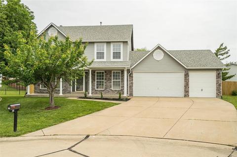 19 Briarmist Ct, O'fallon, MO 63366 photo 3