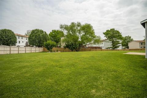 19 Briarmist Ct, O'fallon, MO 63366 photo 38