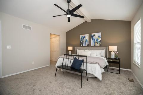 19 Briarmist Ct, O'fallon, MO 63366 photo 28