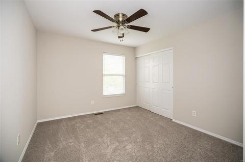 19 Briarmist Ct, O'fallon, MO 63366 photo 31