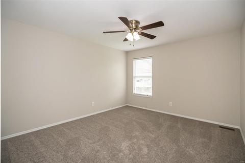 19 Briarmist Ct, O'fallon, MO 63366 photo 32