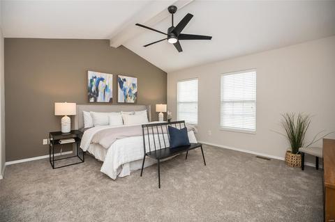 19 Briarmist Ct, O'fallon, MO 63366 photo 27