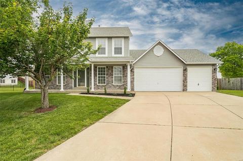 19 Briarmist Ct, O'fallon, MO 63366 photo 1