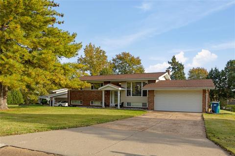 1110 Bromfield Ter, Manchester, MO 63021 photo 2