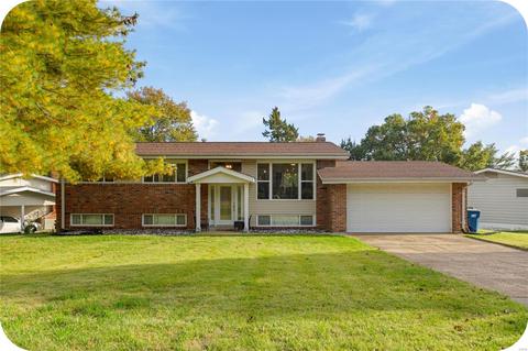 1110 Bromfield Ter, Manchester, MO 63021 photo 1