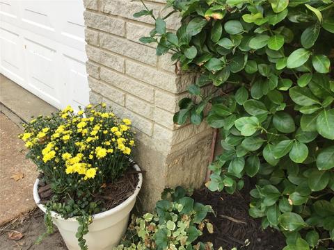 2274 Crandel Dr, Saint Louis, MO 63136 photo 37