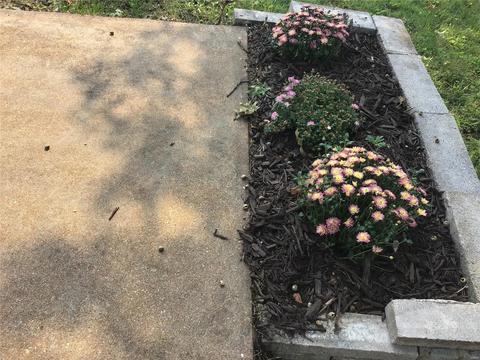 2274 Crandel Dr, Saint Louis, MO 63136 photo 20