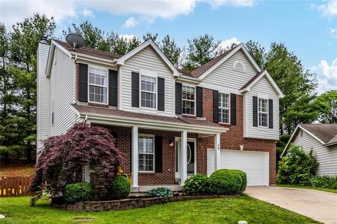 48 Hickory Mound Ct, Wildwood, MO 63011 photo 25