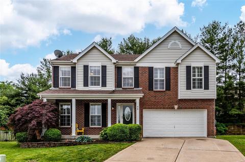 48 Hickory Mound Ct, Wildwood, MO 63011 photo 1