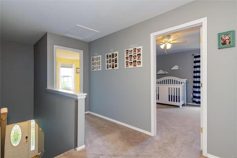 48 Hickory Mound Ct, Wildwood, MO 63011 photo 14