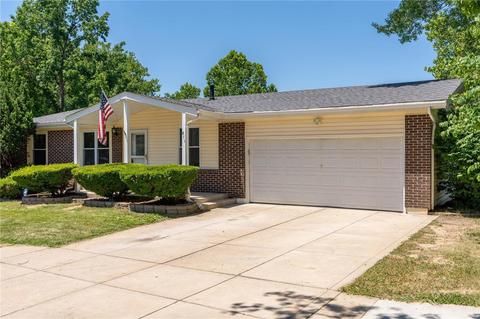 811 Windingpath Ln, Manchester, MO 63021 photo 47