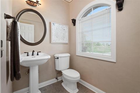 665 Clifden Dr, Weldon Spring, MO 63304 photo 34