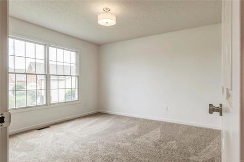 7016 Brassel Dr, O'fallon, MO 63368 photo 22