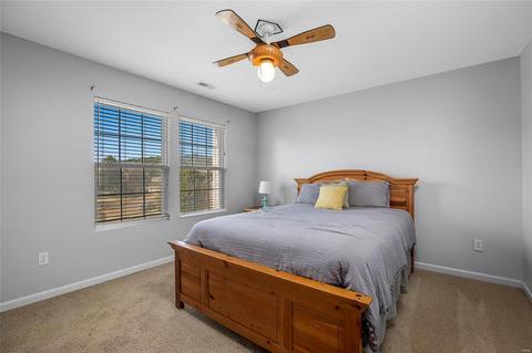 757 Grace View Ct, Eureka, MO 63025 photo 19