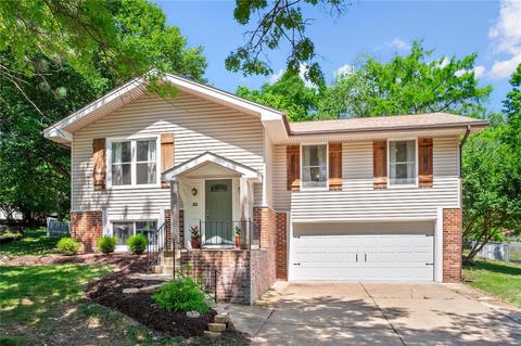 2521 Winter Leaf Ct, Wildwood, MO 63011 photo 1
