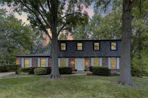 101 Deer Meadows Ct, Ballwin, MO 63011 photo 21