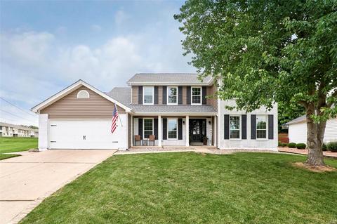7333 Nelsons Ml, O'fallon, MO 63368 photo 1