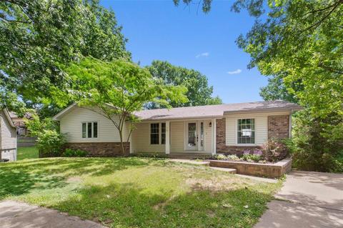 5 Rainfield Ct, Ballwin, MO 63021 photo 1