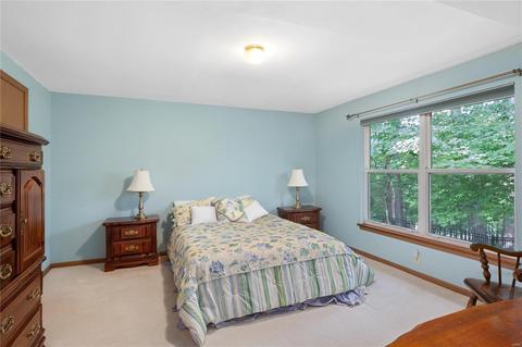 3 Greystoke Ct, Ballwin, MO 63021 photo 23