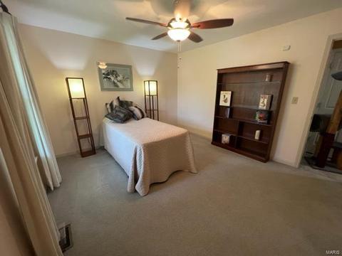 262 Braeshire Dr, Ballwin, MO 63021 photo 20