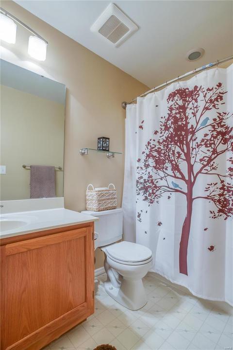 9 Royallbend Ct, O'fallon, MO 63368 photo 30