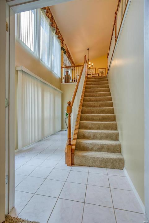 9 Royallbend Ct, O'fallon, MO 63368 photo 53