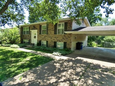 1003 Parkfield Ter, Ballwin, MO 63021 photo 1
