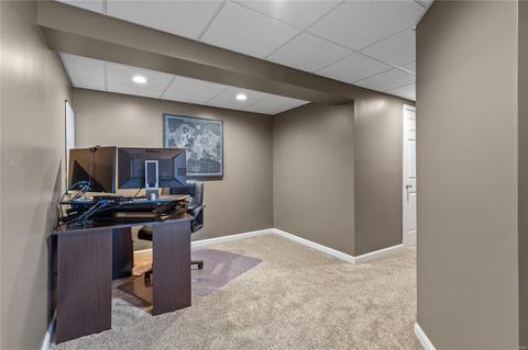 1458 Amber Wave Dr, O'fallon, MO 63366 photo 18