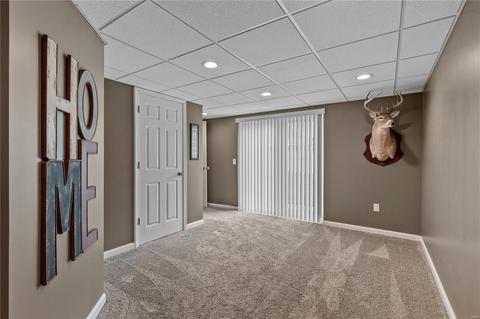 1458 Amber Wave Dr, O'fallon, MO 63366 photo 17