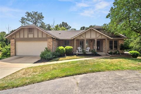 16595 Birch Forest Dr, Wildwood, MO 63011 photo 4