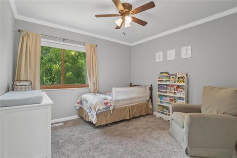 16595 Birch Forest Dr, Wildwood, MO 63011 photo 24
