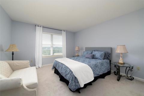 552 Bluffs View Ct, Eureka, MO 63025 photo 29