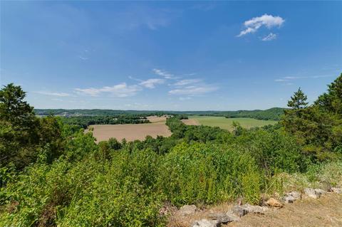 552 Bluffs View Ct, Eureka, MO 63025 photo 33